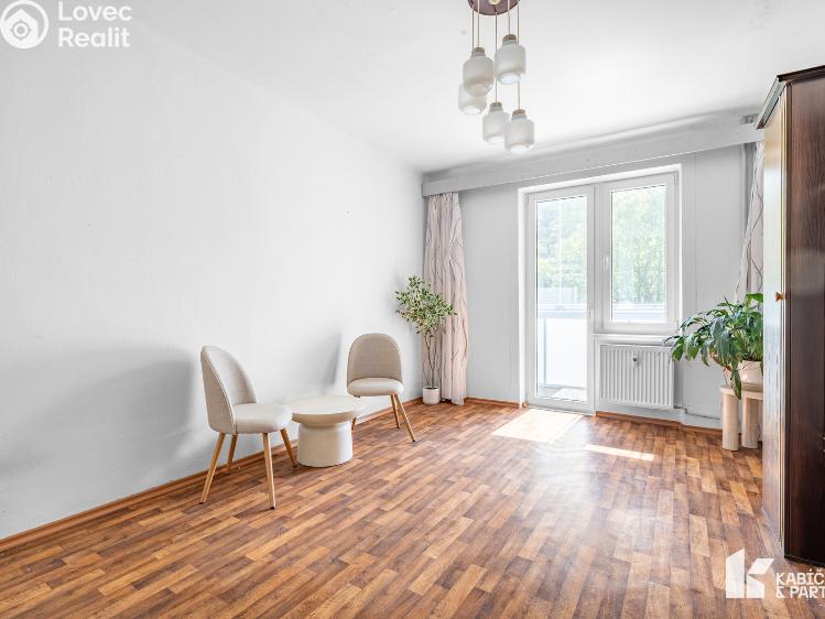 Prodej bytu 2+1 Kopřivnice, K. Čapka č. 3