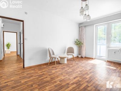 Prodej bytu 2+1 Kopřivnice, K. Čapka č. 1