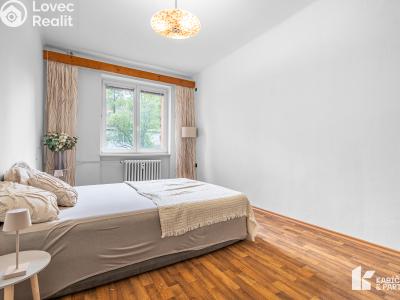 Prodej bytu 2+1 Kopřivnice, K. Čapka č. 7