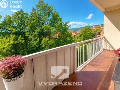Sale apartment 1+1 Teplice, Jana Koziny č. 3