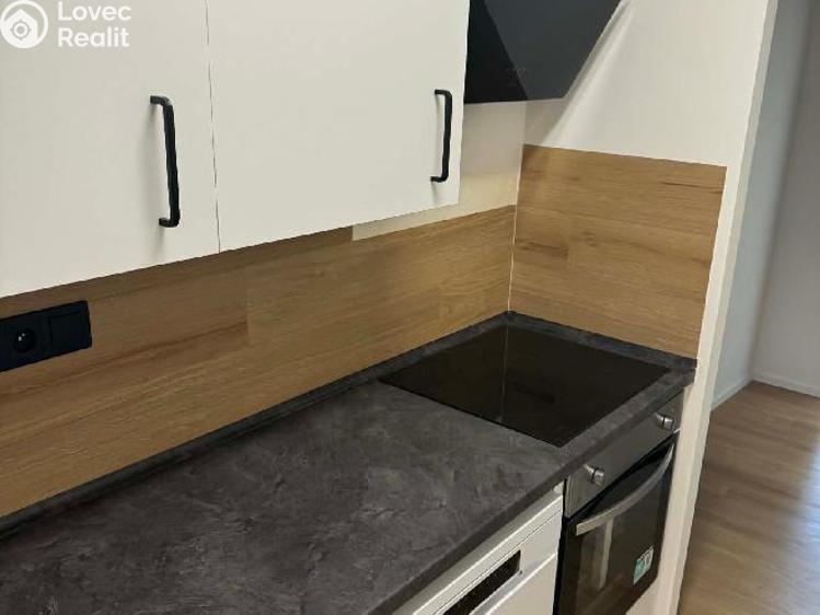 Prodej bytu 3+1 Chomutov, 17. listopadu 4628 č. 1