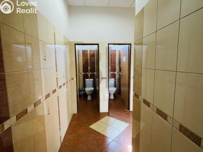 Pronájem kanceláře Hodonín, Za Dráhou č. 8