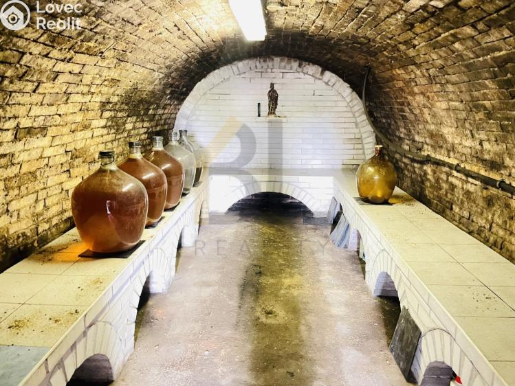 Sale wine cellar Dolní Bojanovice, Zemačka 997 č. 4