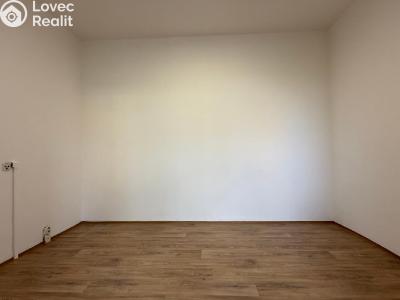 Pronájem bytu 2+1 Bílina, Sídliště Za Chlumem 771 č. 6