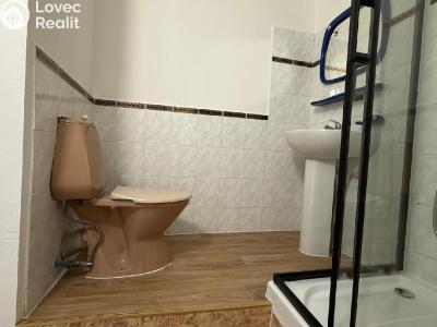 Оренда квартири 2+1 Bílina, Sídliště Za Chlumem 771 č. 10