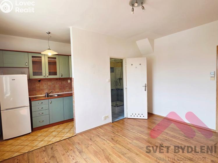 Pronájem bytu 1+KK Praha, Sevřená č. 3