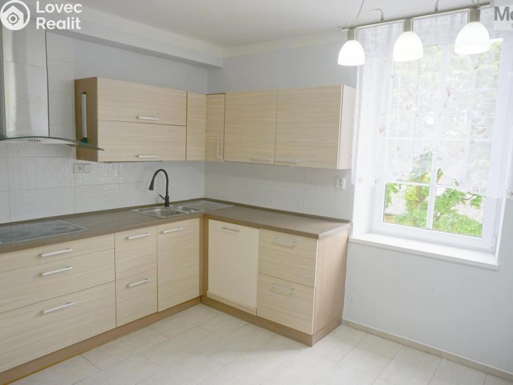 Pronájem bytu 2+1 Litvínov, Vrchlického 1092 č. 3