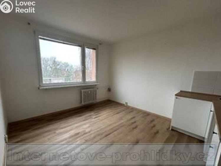 Pronájem bytu 1+KK Chlumec č. 1
