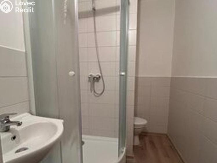 Pronájem bytu 1+KK Chlumec č. 5