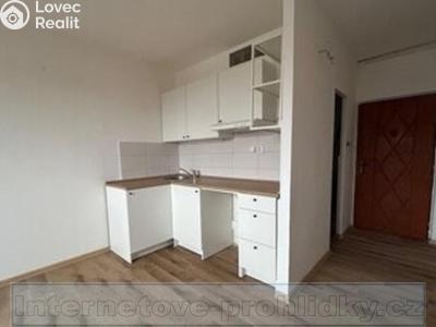 Rent apartment 1+KK Chlumec č. 3
