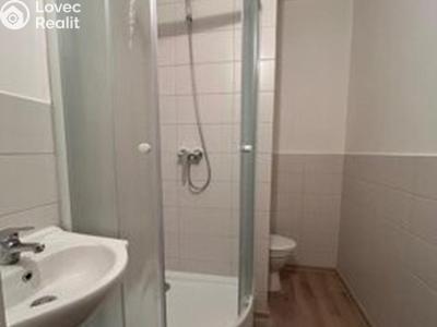 Rent apartment 1+KK Chlumec č. 5