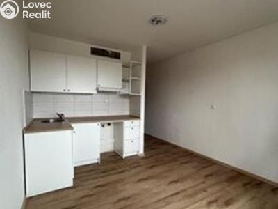 Rent apartment 1+KK Chlumec č. 8