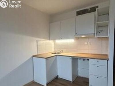 Rent apartment 1+KK Chlumec č. 9