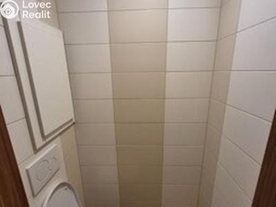 Pronájem bytu 2+1 Ústí nad Labem č. 5