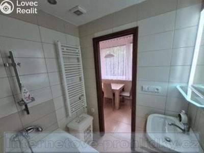 Rent apartment 2+1 Ústí nad Labem č. 7