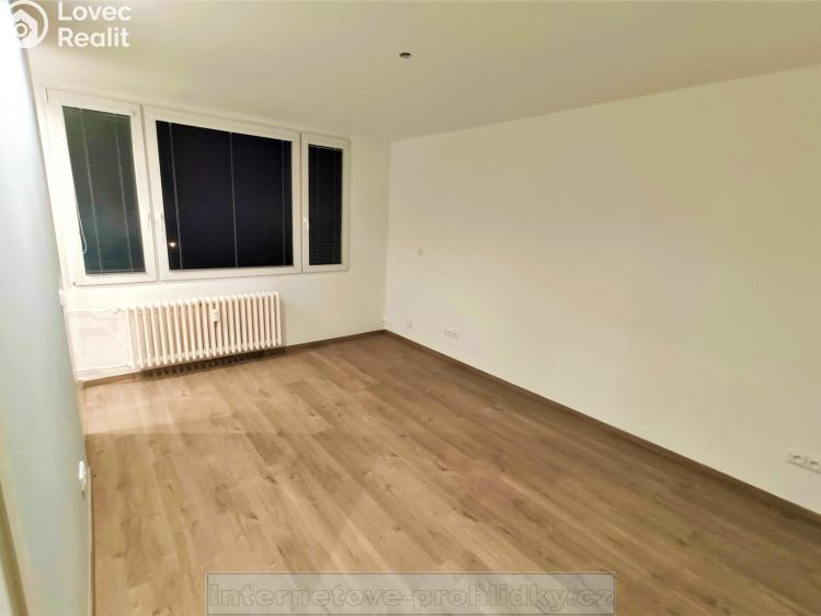 Pronájem bytu 1+KK Tanvald č. 1