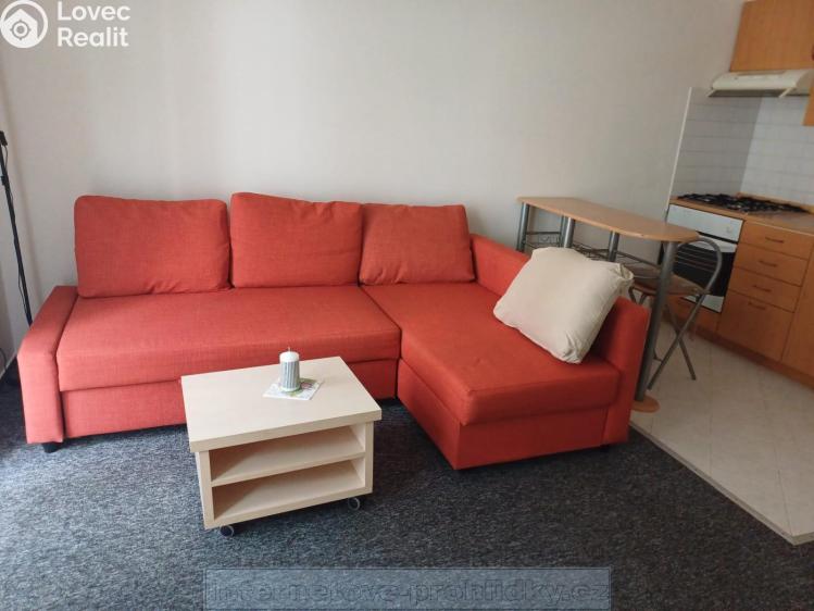 Pronájem bytu 1+KK Železný Brod č. 1