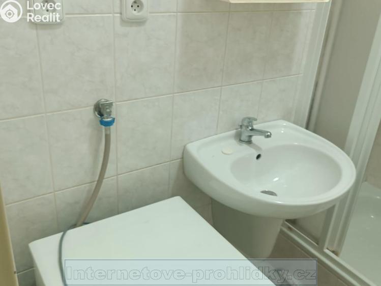 Pronájem bytu 1+KK Železný Brod č. 3