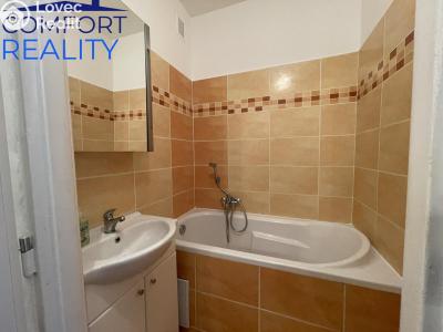 Оренда квартири 1+1 Ostrava, Vietnamská č. 8