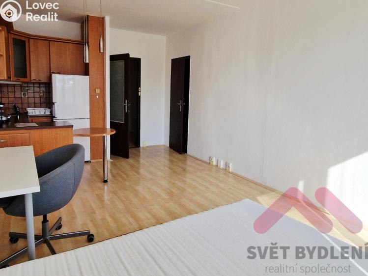Pronájem bytu 1+KK Praha, Levského č. 6