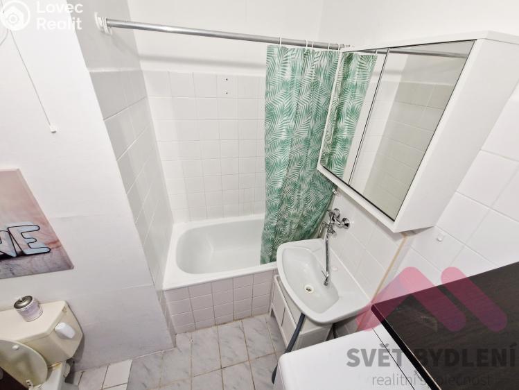 Pronájem bytu 1+KK Praha, Levského č. 8