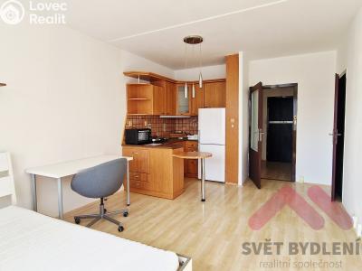Pronájem bytu 1+KK Praha, Levského č. 1