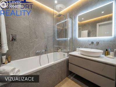 Продажа квартиры 1+1 Ostrava, Garážní č. 14