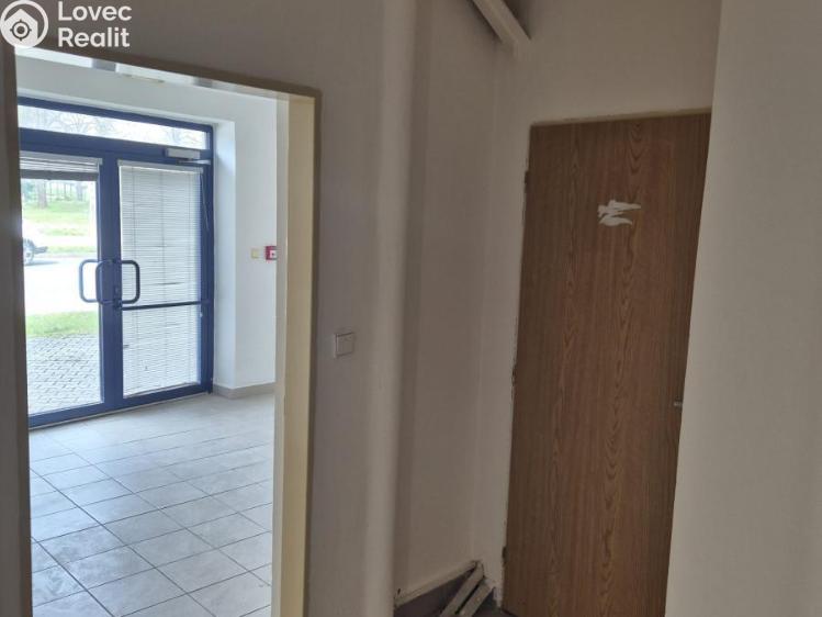 Pronájem obchodního prostoru Ostrava, Fibichova č. 7