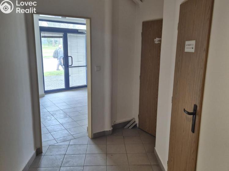 Pronájem obchodního prostoru Ostrava, Fibichova č. 8