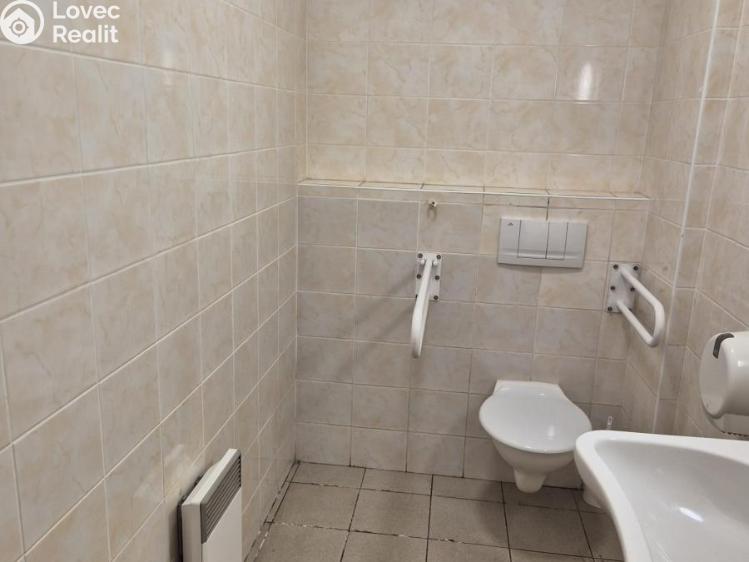 Pronájem obchodního prostoru Ostrava, Fibichova č. 7