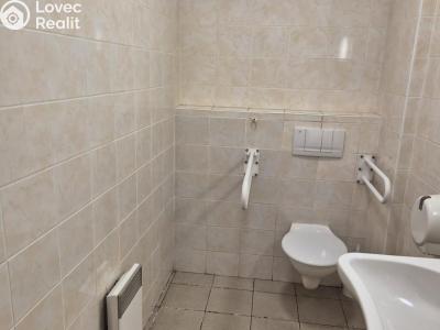 Pronájem obchodního prostoru Ostrava, Fibichova č. 7