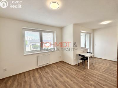 Rent apartment 1+KK Běstvina č. 3
