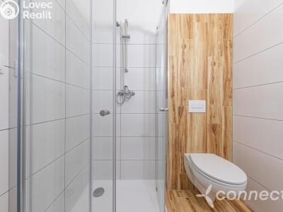 Pronájem bytu 1+1 Přerov, Husova č. 19
