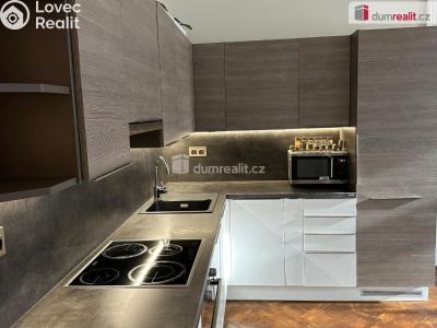 Pronájem bytu 2+KK Praha 2, Mánesova č. 6