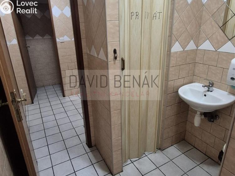 Prodej restaurace Všestary č. 19