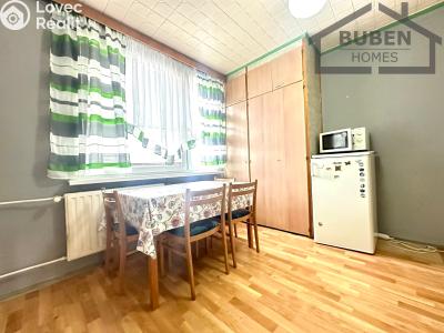 Продажа квартиры 1+1 Bor, Borská 551 č. 10