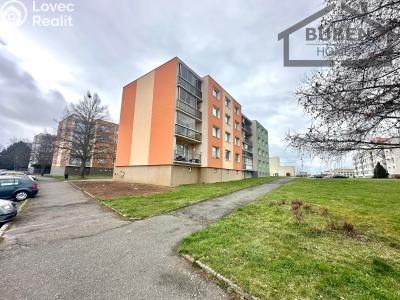 Продажа квартиры 1+1 Bor, Borská 551 č. 11