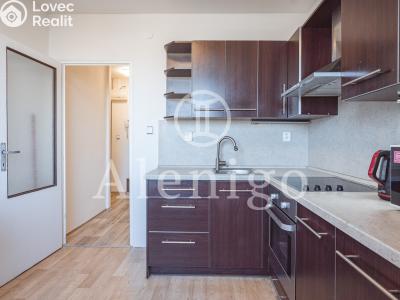 Prodej bytu 1+1 Praha, Minická č. 1