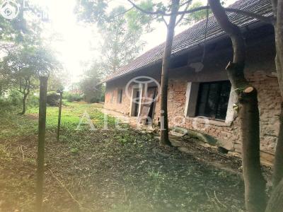 Продажа дачи Domousnice č. 3