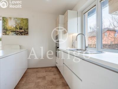 Продажа семейного дома Kostelec nad Labem, Květná č. 18