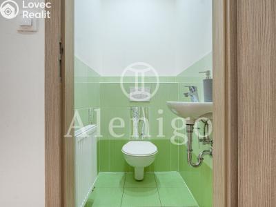 Продажа семейного дома Kostelec nad Labem, Květná č. 25