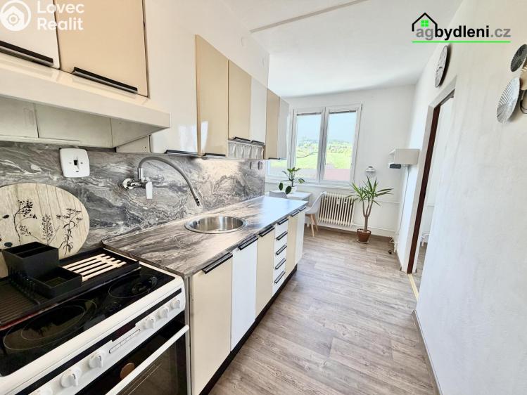 Pronájem bytu 3+1 Starý Plzenec, U Sedlce 856 č. 1
