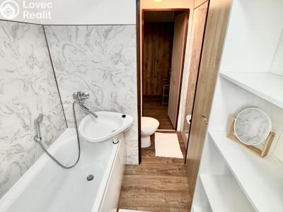Оренда квартири 3+1 Starý Plzenec, U Sedlce 856 č. 9