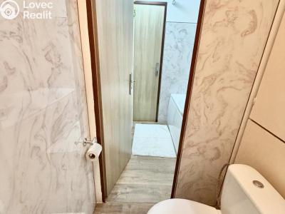 Оренда квартири 3+1 Starý Plzenec, U Sedlce 856 č. 11