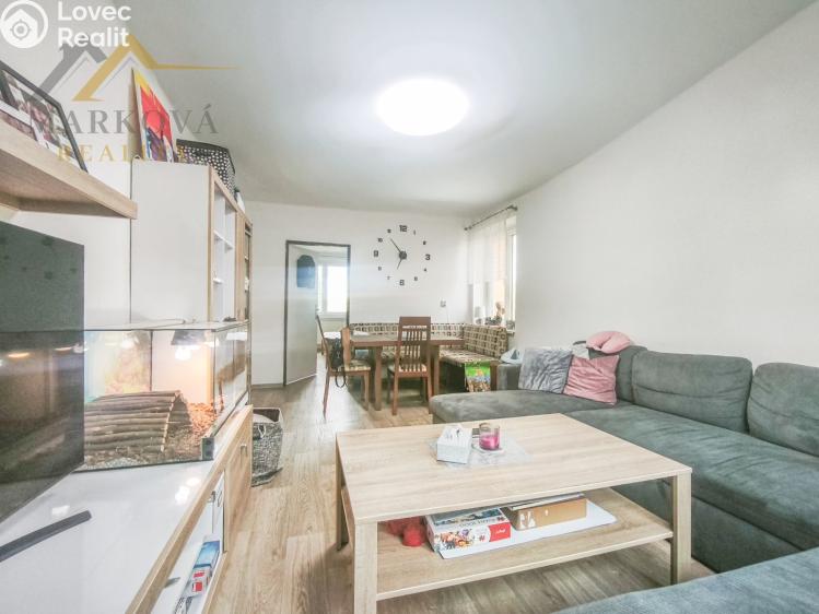 Pronájem bytu 3+1 Týn nad Vltavou, Orlická 431 č. 10