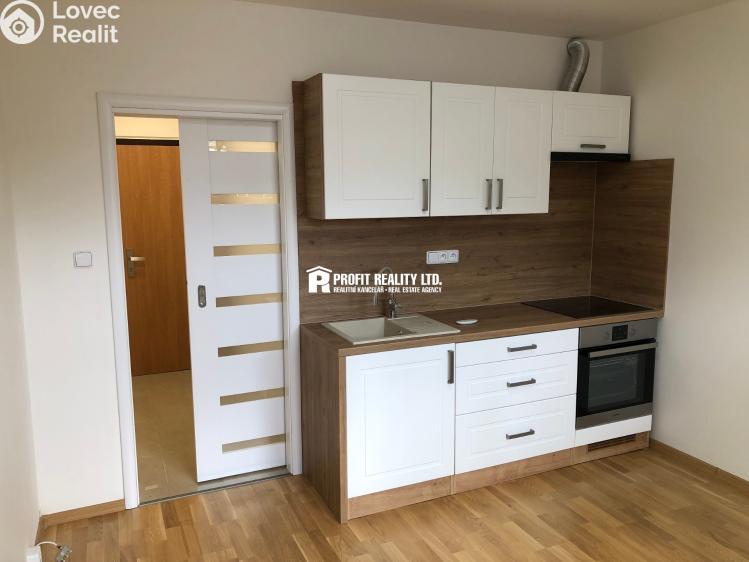 Rent apartment 1+KK Praha, Štúrova 1701/55 č. 16