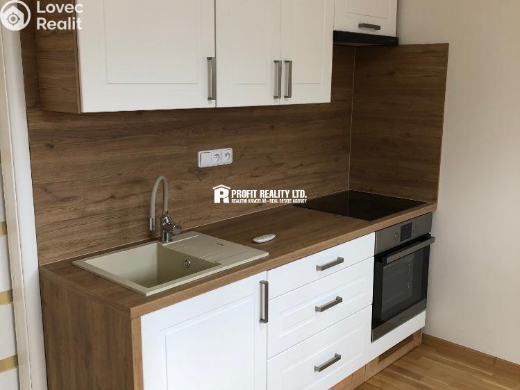 Rent apartment 1+KK Praha, Štúrova 1701/55 č. 1