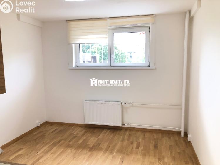 Rent apartment 1+KK Praha, Štúrova 1701/55 č. 3