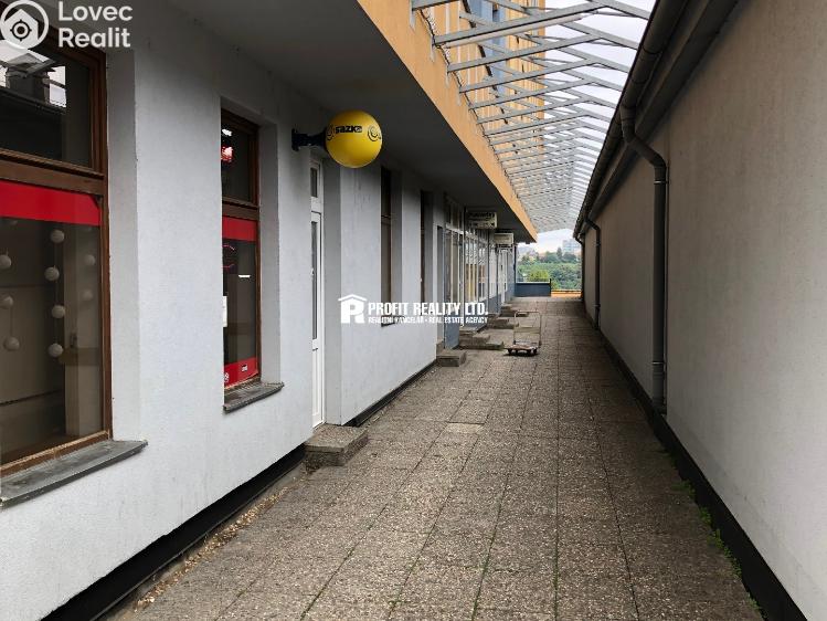 Rent apartment 1+KK Praha, Štúrova 1701/55 č. 8