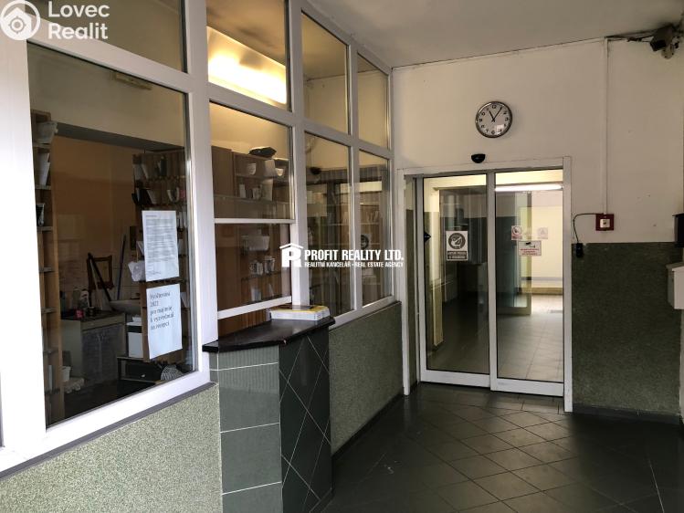 Rent apartment 1+KK Praha, Štúrova 1701/55 č. 9